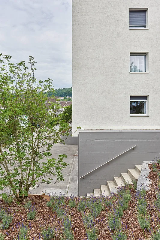 MFH Kirchfeldstrasse – Aussentreppe und sanierter Sockel mit Bepflanzung